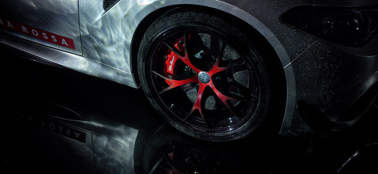 Exterior Gallery CUSTOM WHEELS - Slider n.5