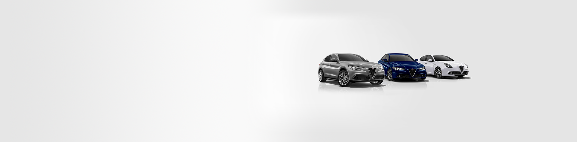 Clients business Alfa Romeo